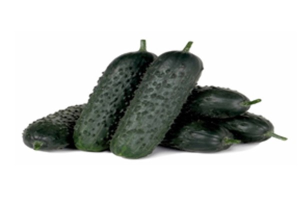 PICKLING CUCUMBER